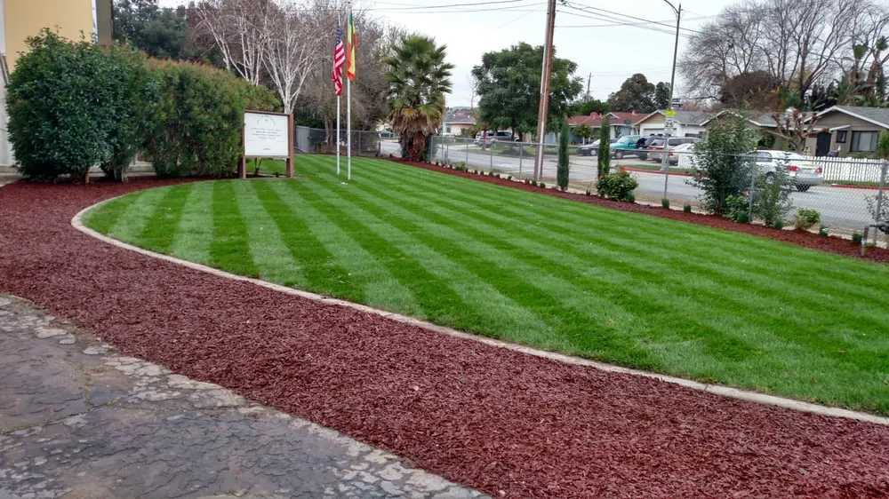 Reliable lawn care service in San Jose, CA - Medina Landscaping and Gardening Service