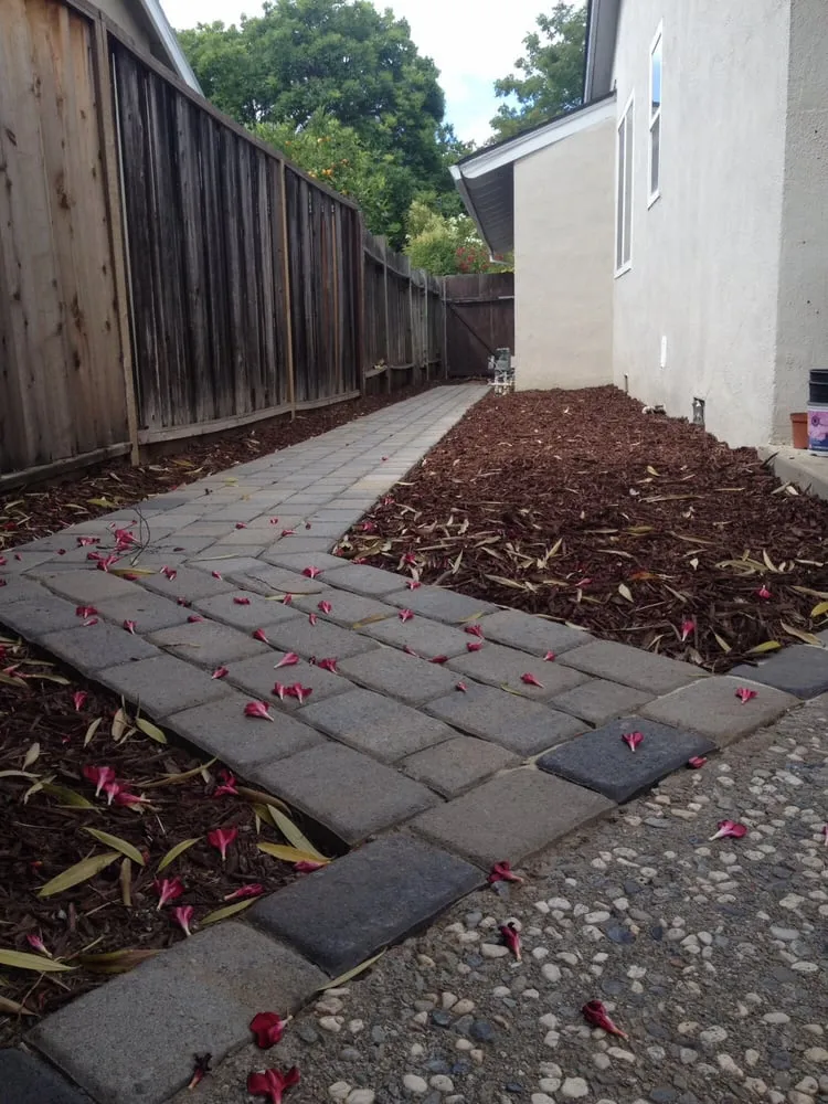 Professional residential landscaping in San Jose, CA - Medina Landscaping and Gardening Service