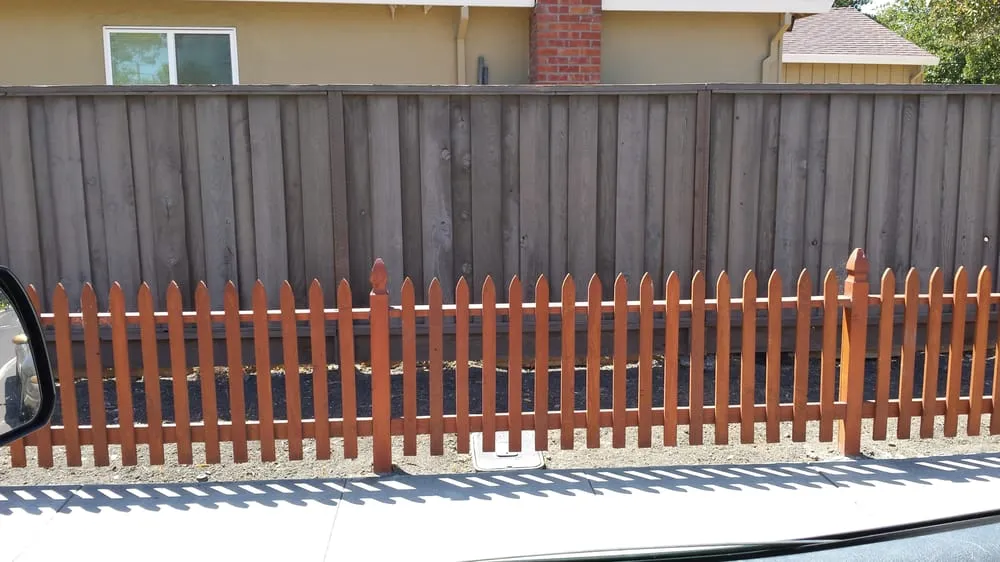 Professional yard cleanup service experts serving San Jose, CA - Medina Landscaping and Gardening Service