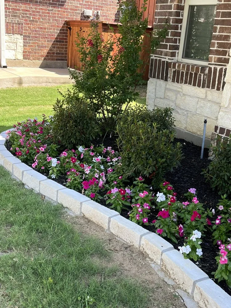 Local outdoor landscaping in Lewisville, TX - Medina Landscaping