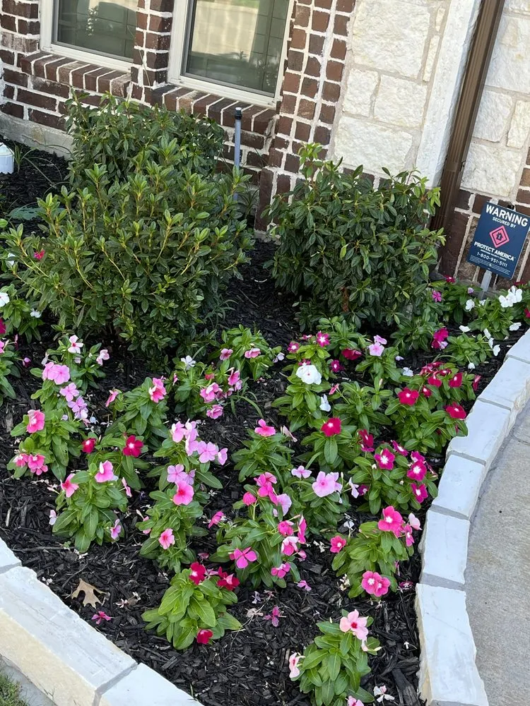 Affordable outdoor landscaping near you across Lewisville, TX - Medina Landscaping