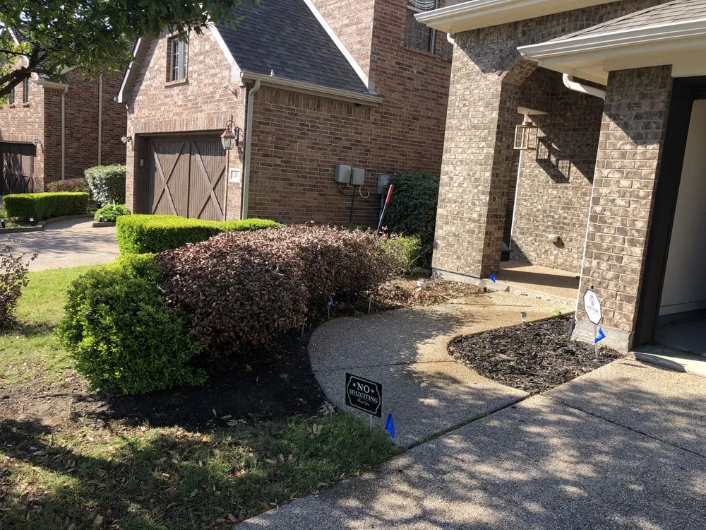 Local landscaping services in Lewisville, TX - Medina Landscaping
