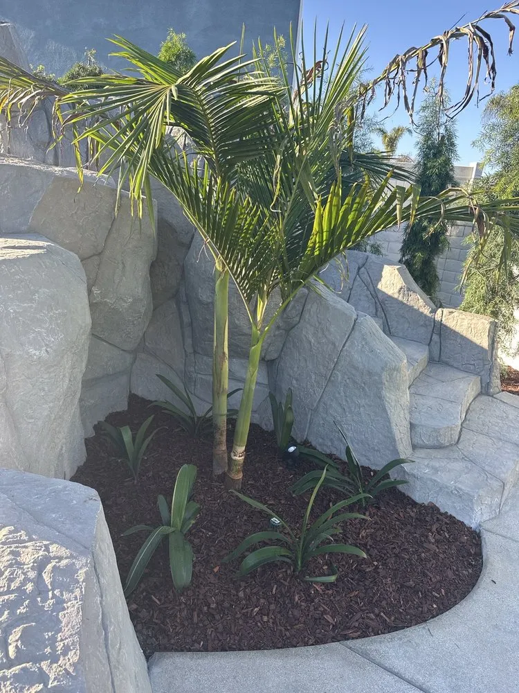 Reliable lawn care service in Long Beach, CA - Medina Landscaping