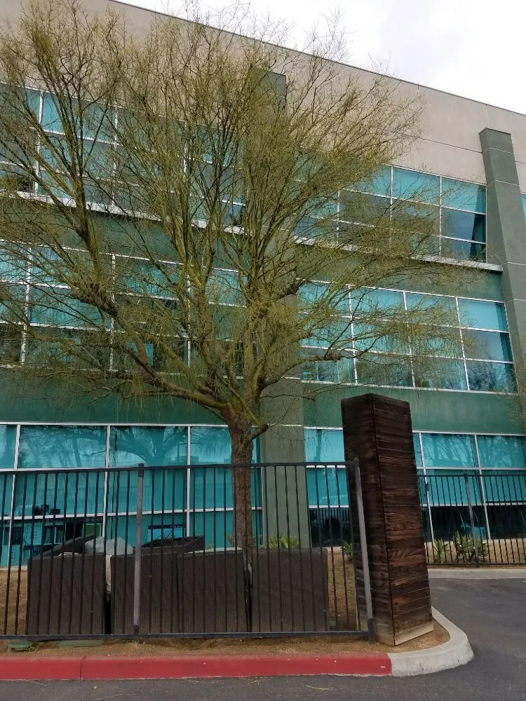 Professional lawn care service in Long Beach, CA - Medina Landscaping