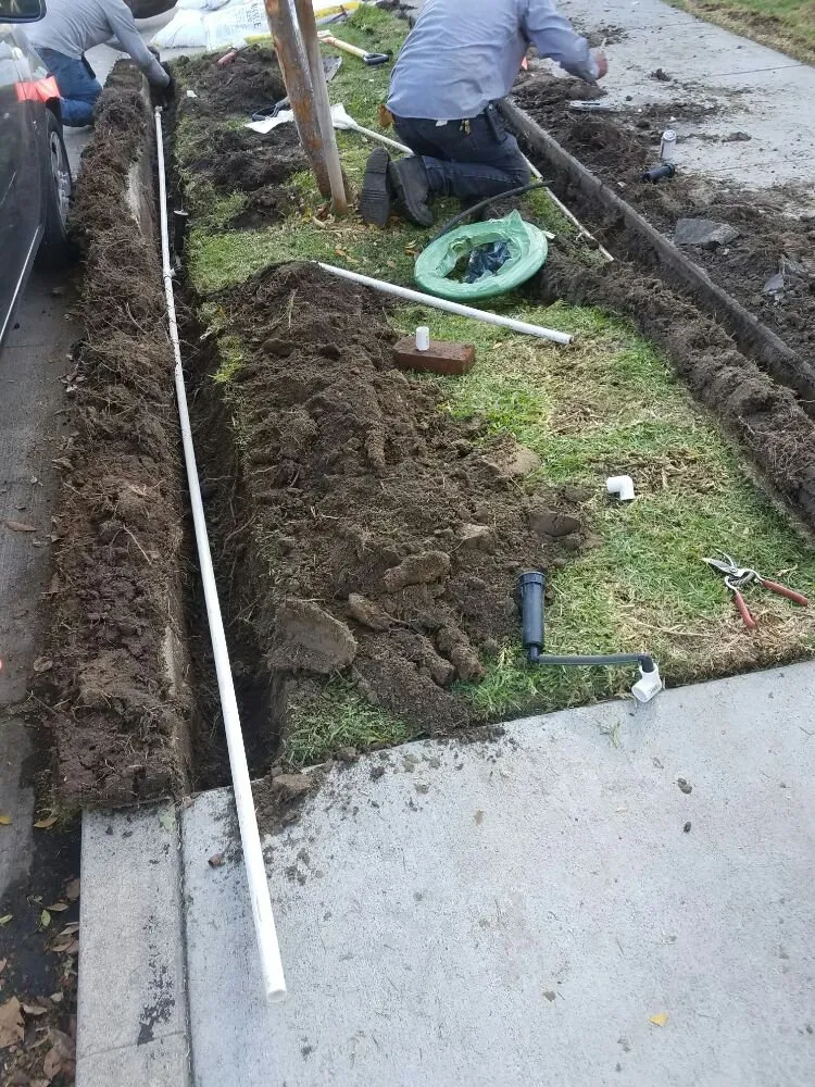 Reliable landscape design in Long Beach, CA - Medina Landscaping