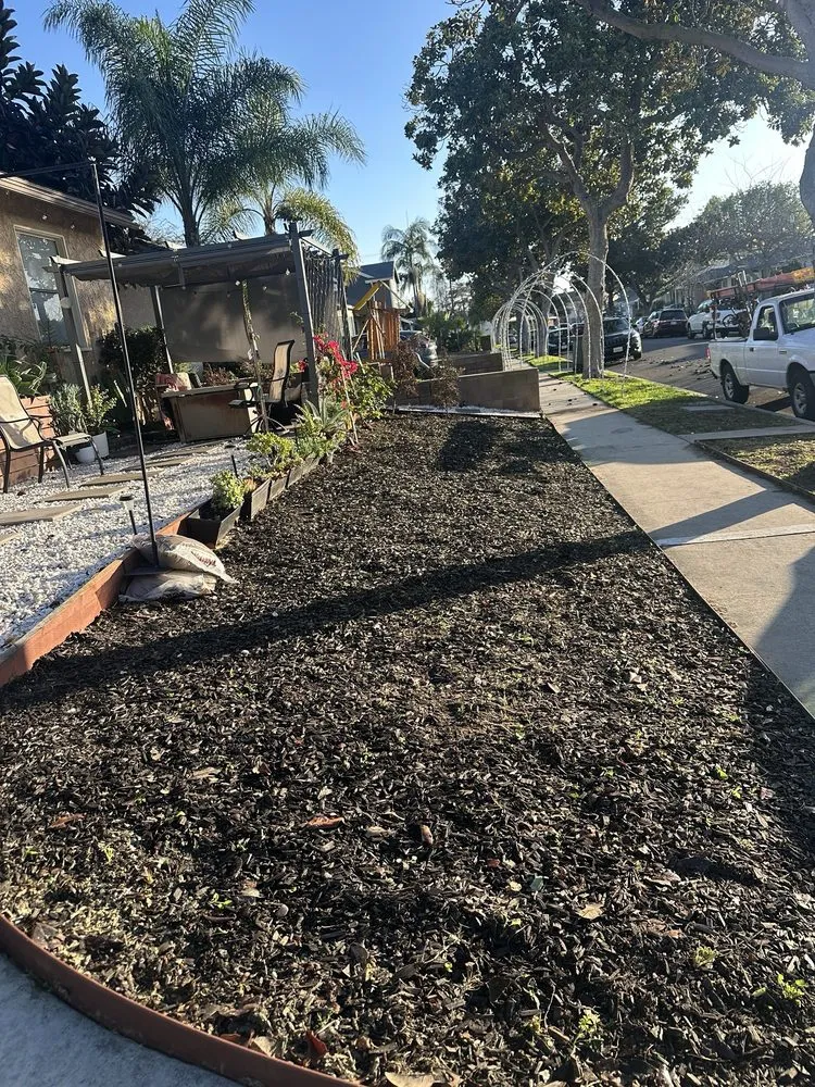Custom landscape installation in Long Beach, CA - Medina Landscaping