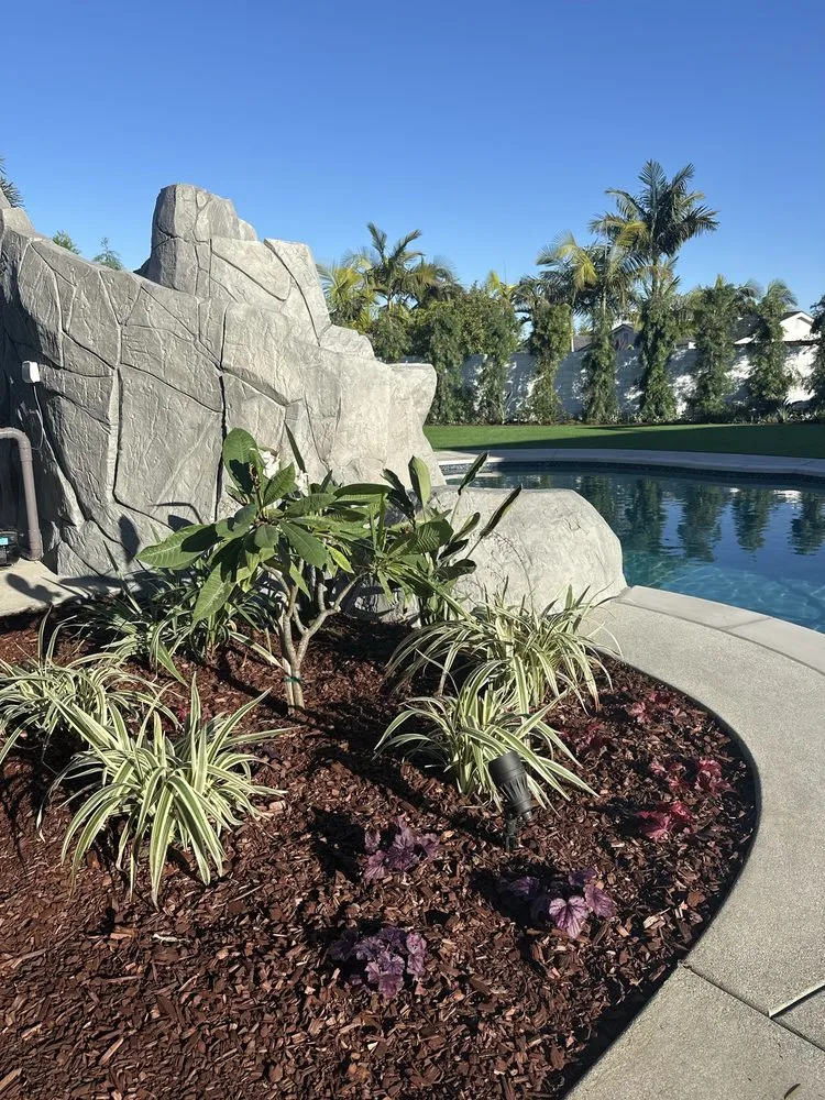 Top-rated lawn care service in Long Beach, CA by Medina Landscaping