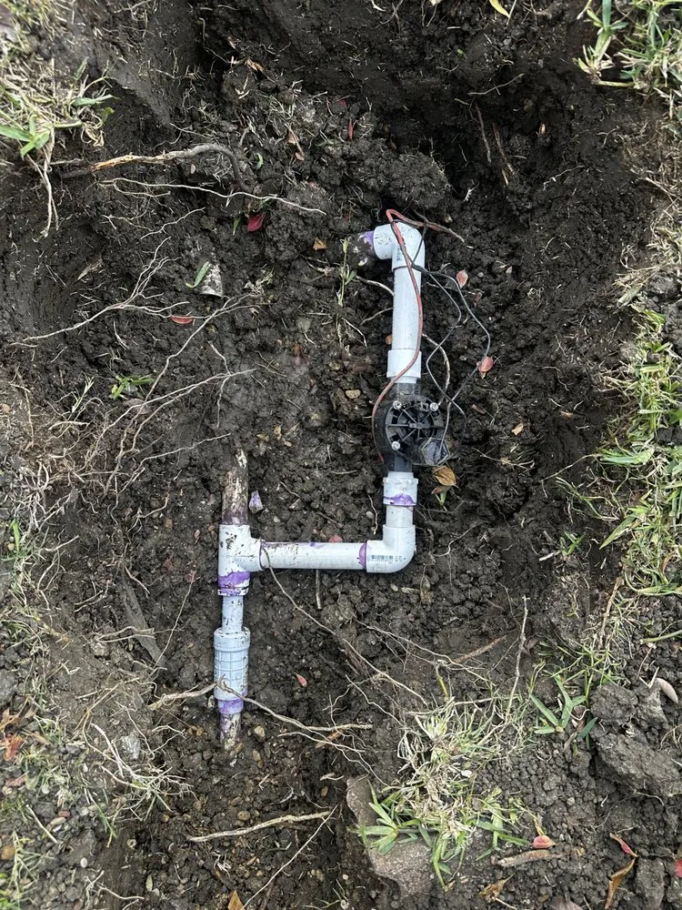 Expert landscape installation near you in McKinney, TX by Medina Landscaping