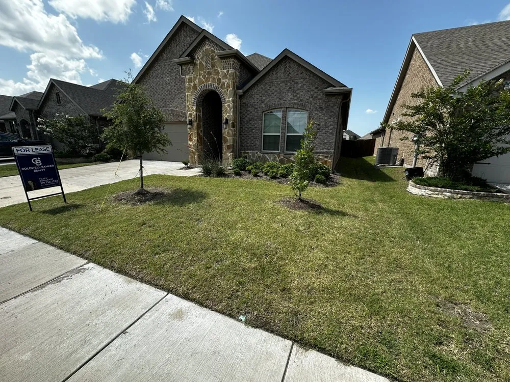 Top-rated yard cleanup service in McKinney, TX by Medina Landscaping