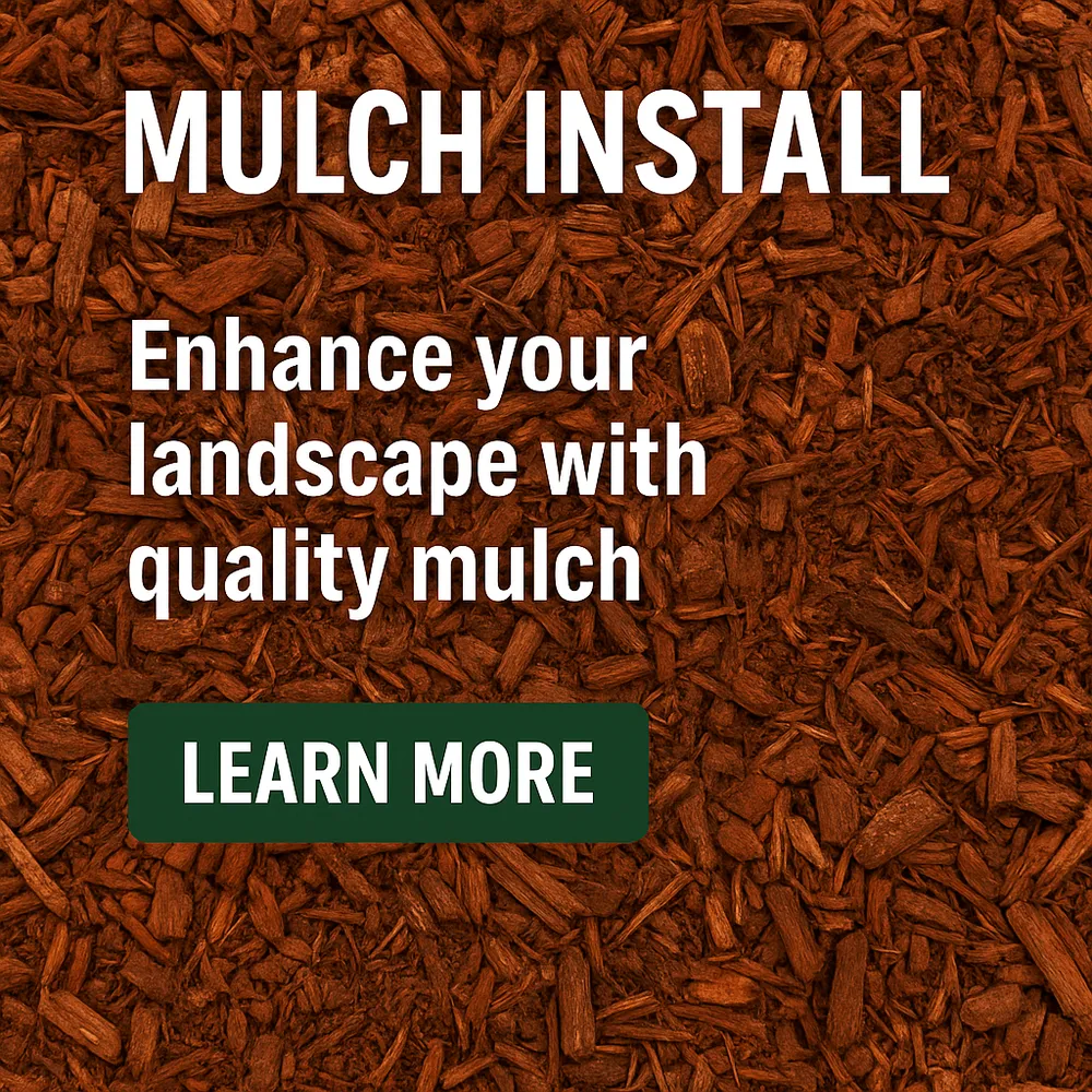 Top-rated lawn care service in McKinney, TX - Medina Landscaping