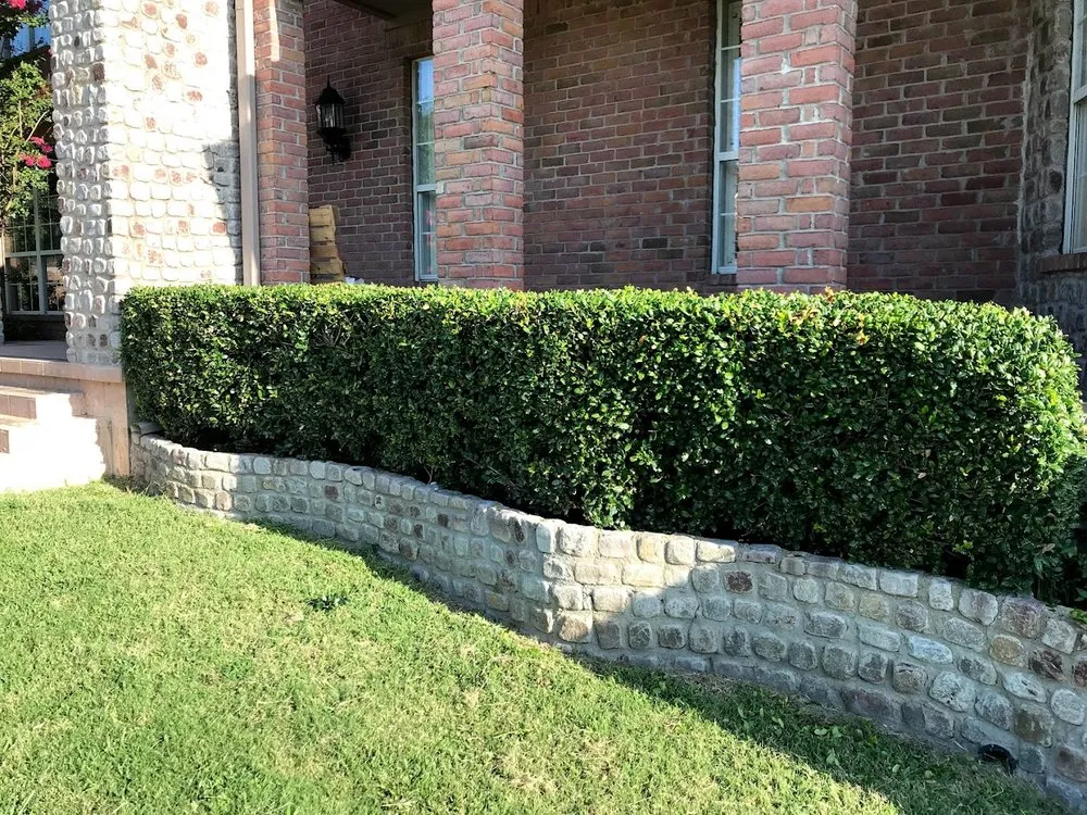 Reliable lawn mowing service in McKinney, TX - Medina Landscaping