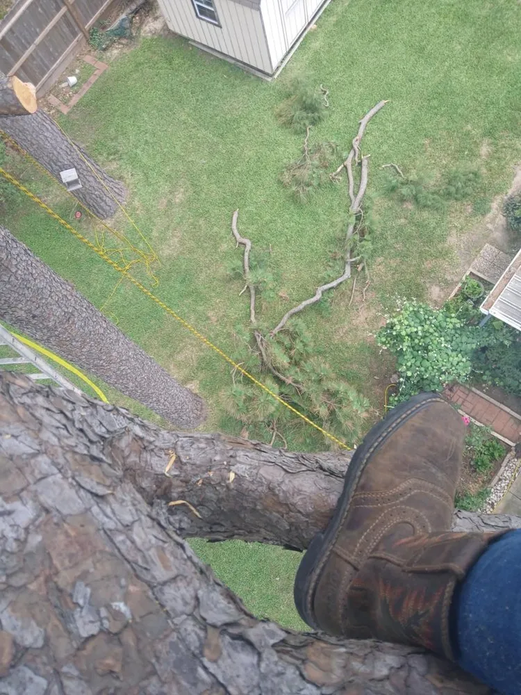 Local landscaping services in Houston, TX - Medina Lawn & Landscape services