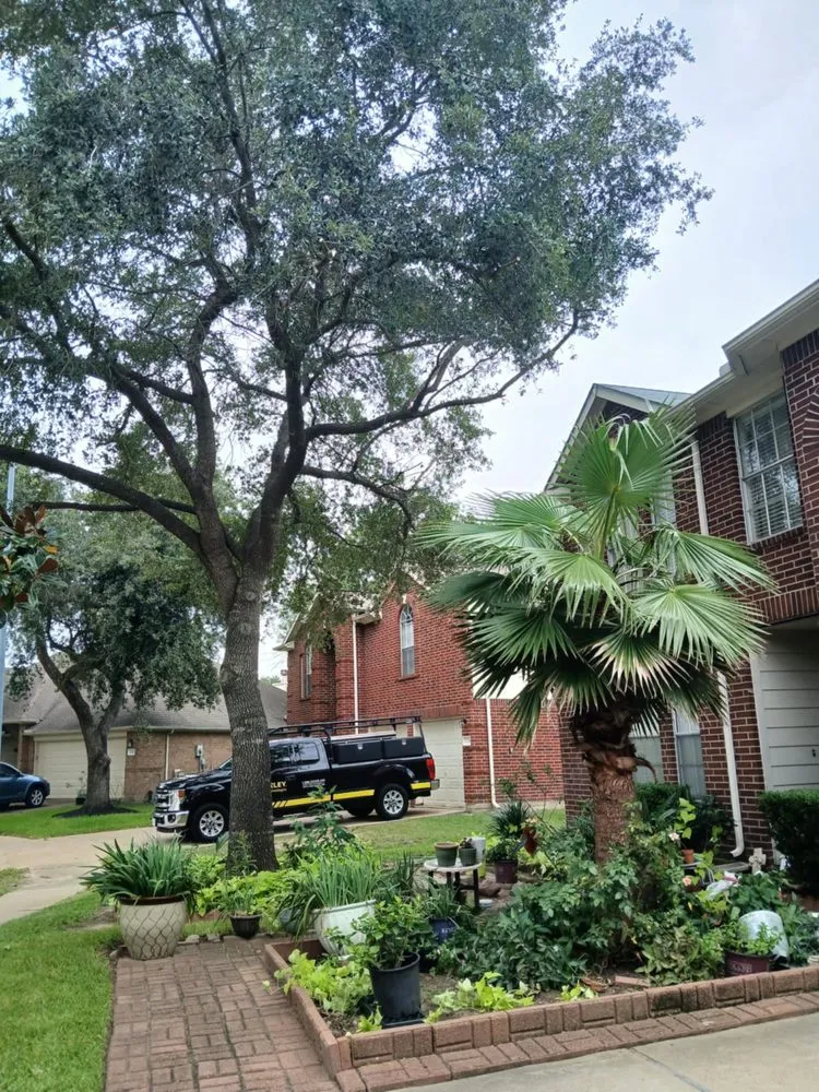 Expert outdoor landscaping in Houston, TX - Medina Lawn & Landscape services