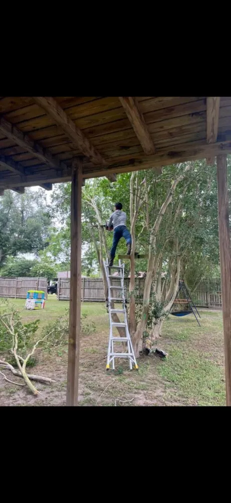 Custom lawn mowing service experts serving Houston, TX - Medina Lawn & Landscape services