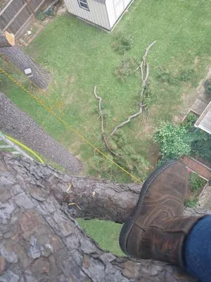 Medina Lawn & Landscape services Logo