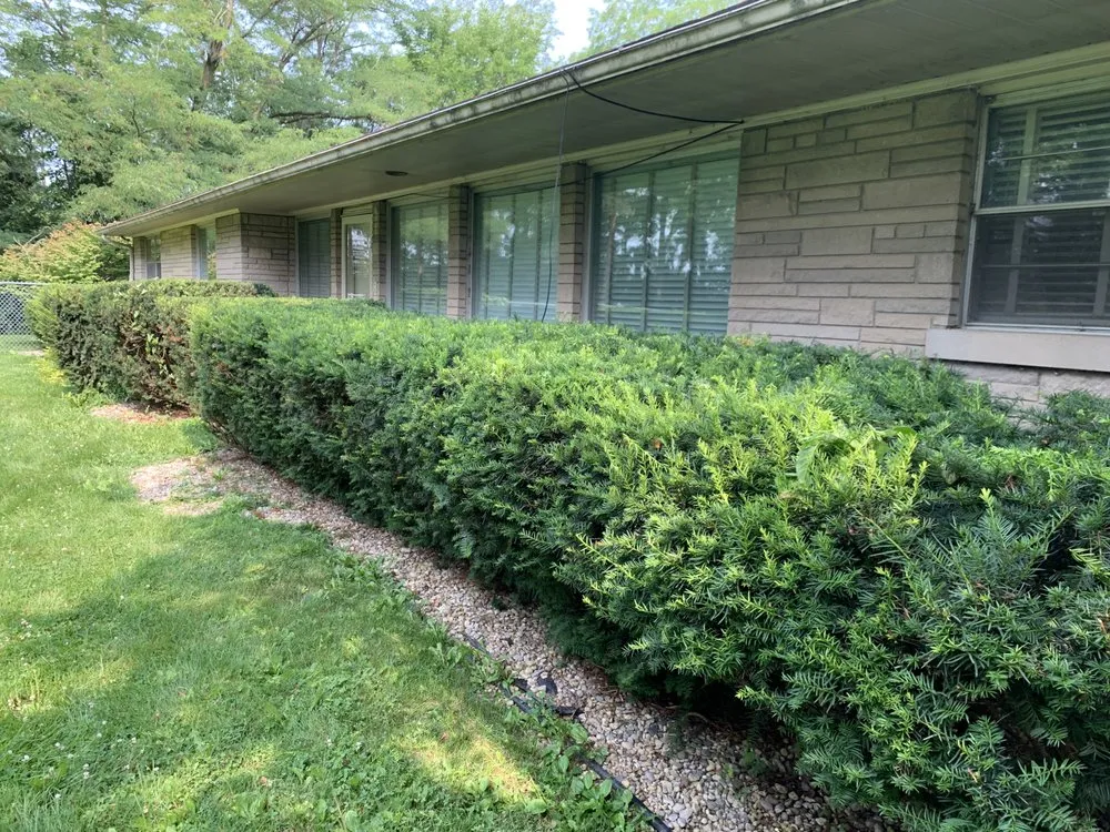 Affordable garden landscaping experts serving Markle, IN - Medina Lawn Care