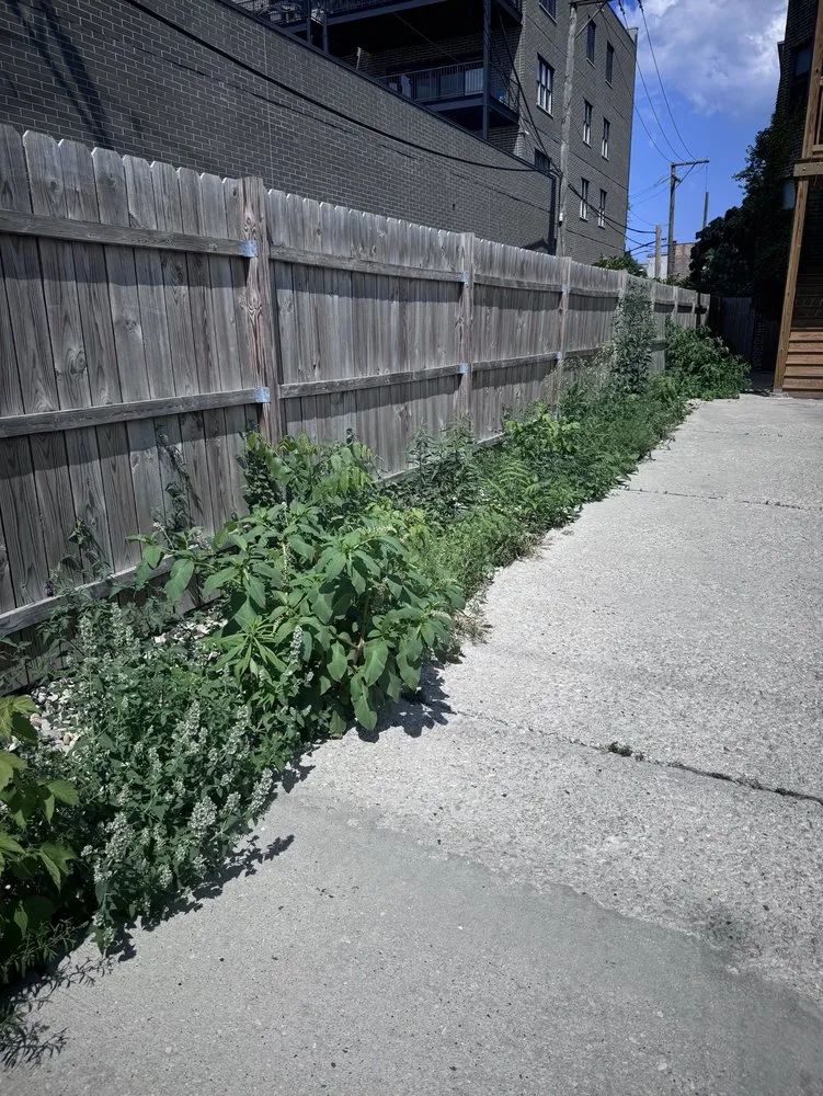 Expert garden landscaping in Chicago, IL - Medina Lawncare