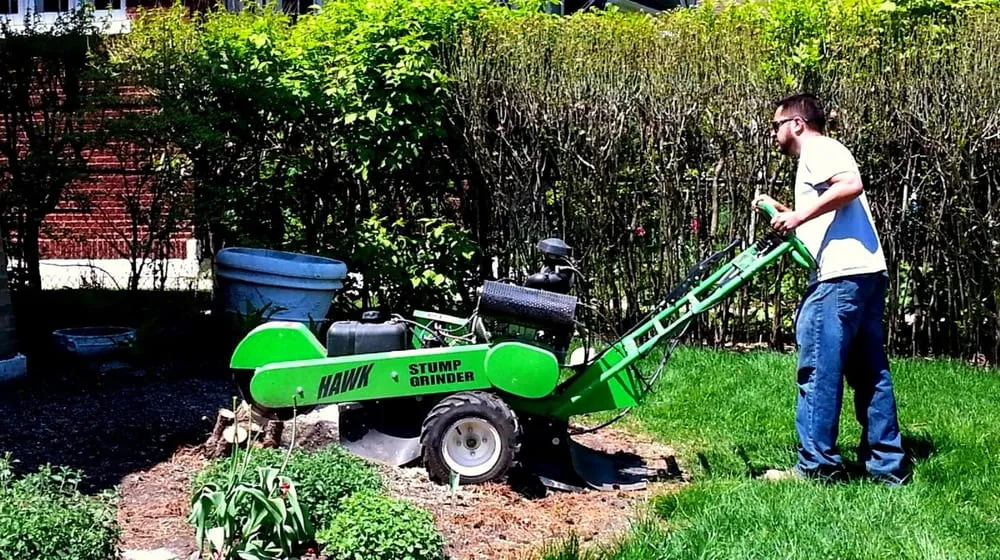 Local outdoor landscaping in Chicago, IL - Medina Lawncare
