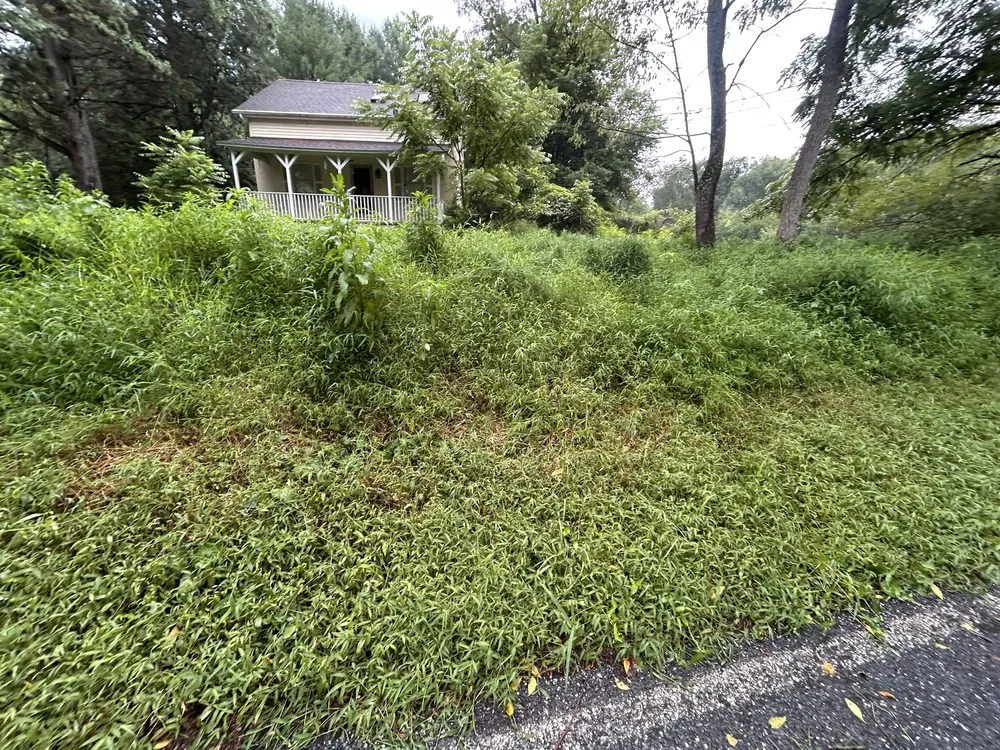 Top-rated residential landscaping for homes in Wilmington, DE by Medina Property Maintenance