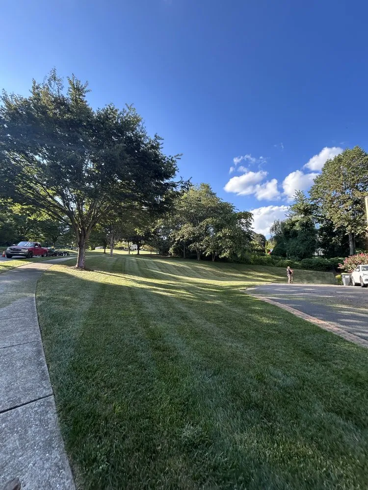 Local landscaping services for outdoor upgrades in Wilmington, DE by Medina Property Maintenance