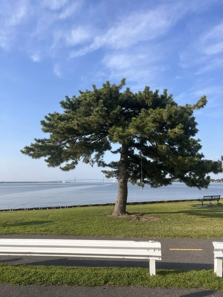 Trusted lawn care service experts serving Wilmington, DE - Medina Property Maintenance