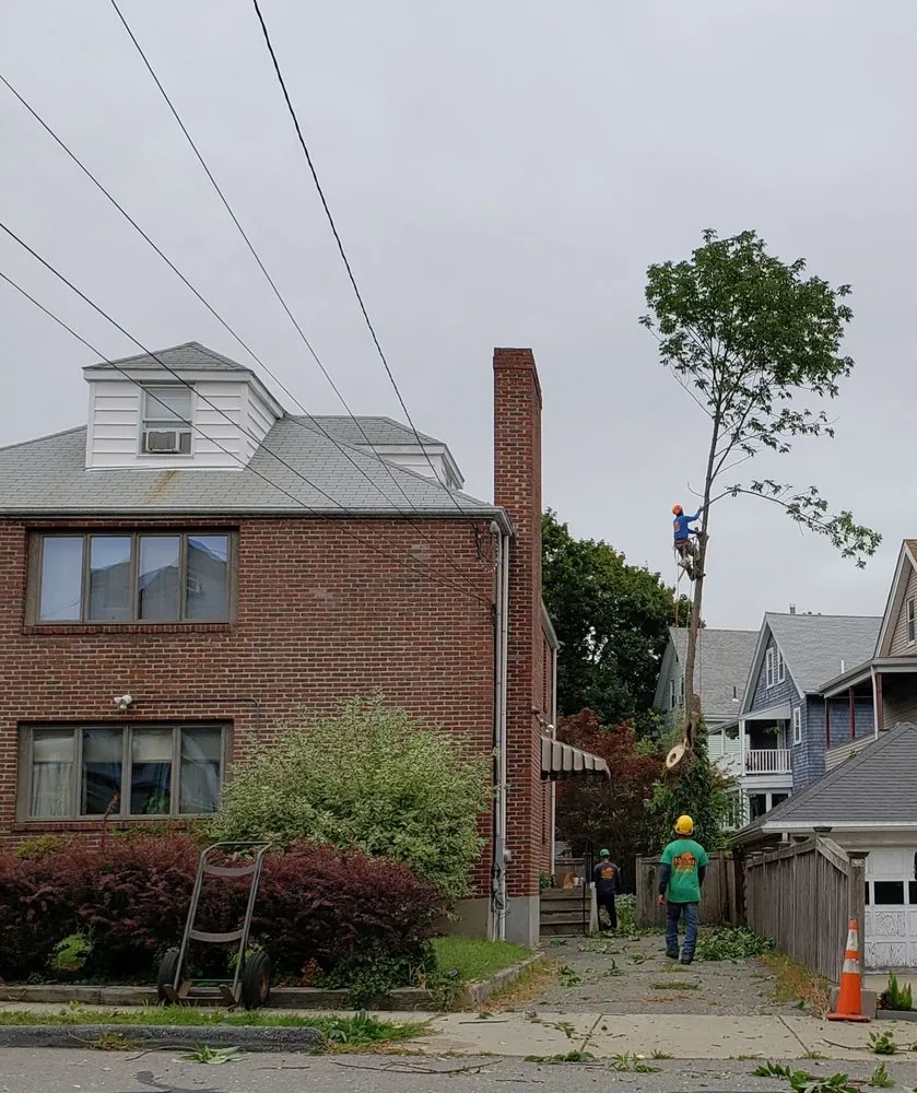 Affordable landscape installation experts serving Waltham, MA - Medina Tree Services