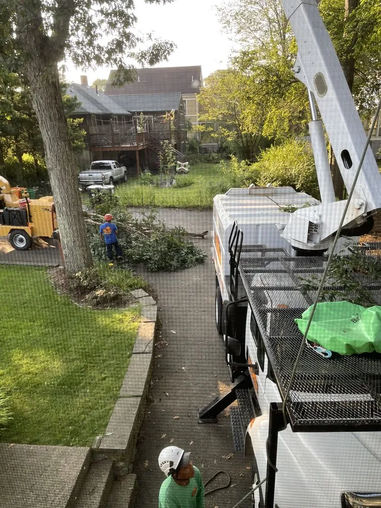 Trusted landscape design in Waltham, MA by Medina Tree Services