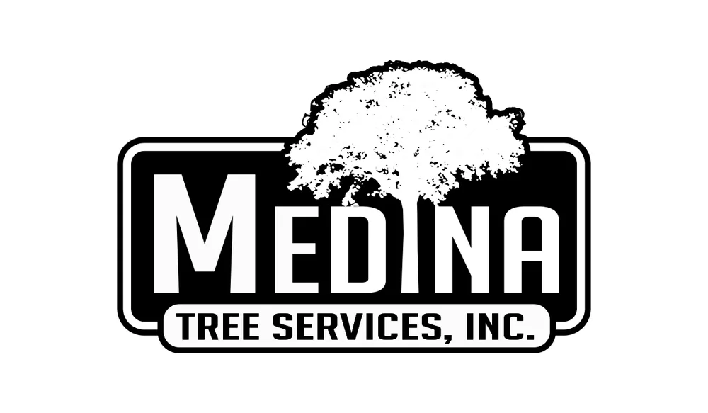 Top-rated garden landscaping with custom design in Waltham, MA by Medina Tree Services