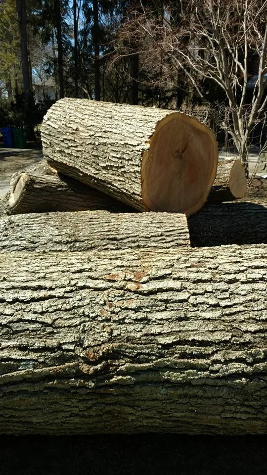 Top-rated yard cleanup service in Waltham, MA - Medina Tree Services