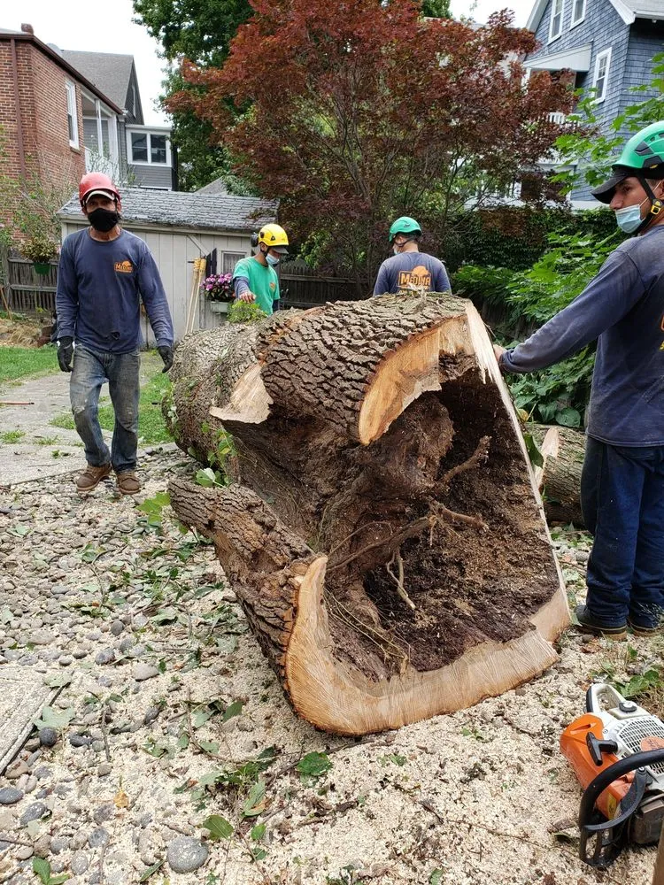 Trusted landscaping services experts serving Waltham, MA - Medina Tree Services