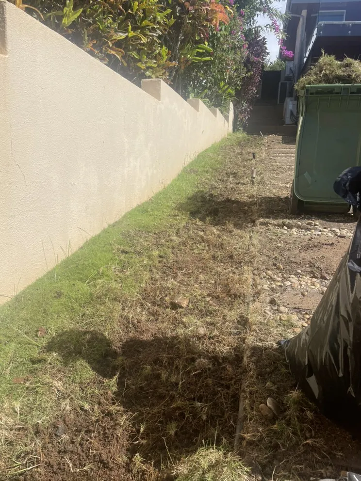 Professional lawn care service in Urban Honolulu, HI - Medina Yard And Home Cleaning Services