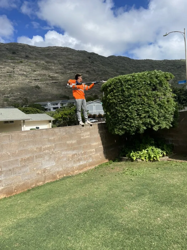 Top-rated residential landscaping in Urban Honolulu, HI by Medina Yard And Home Cleaning Services