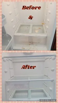 Medina Yard And Home Cleaning Services Logo