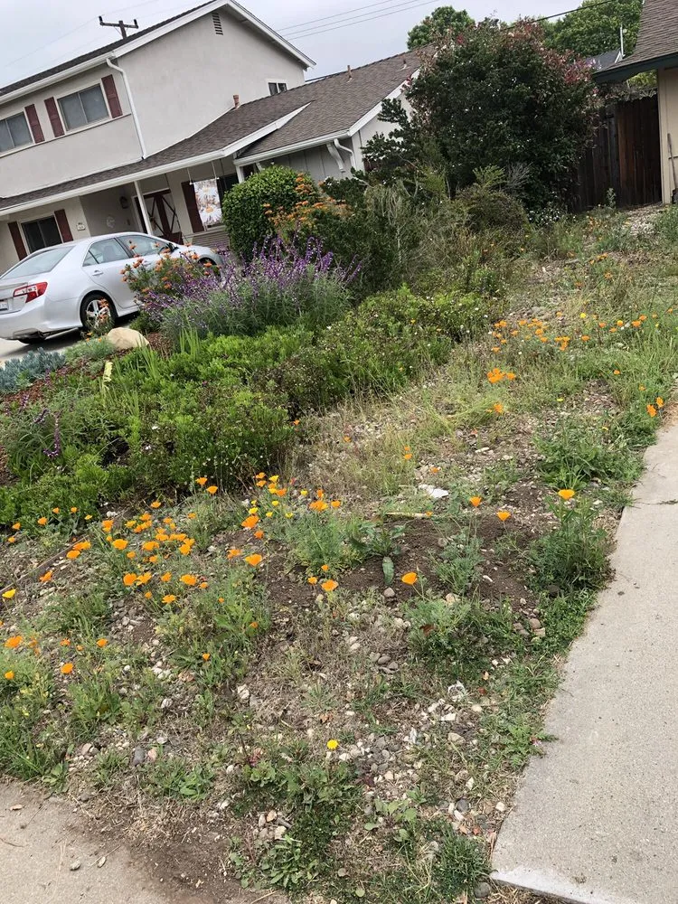 Reliable yard maintenance experts serving Santa Barbara, CA - Medina Yard Care & Hauling