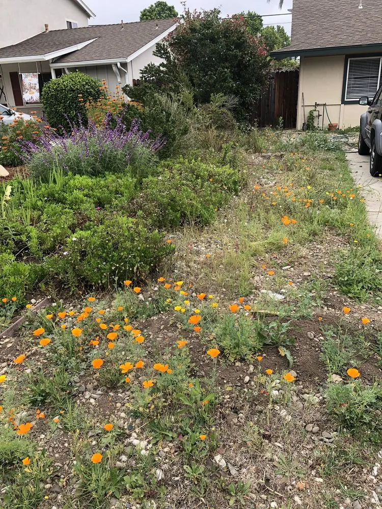 Reliable lawn care service experts serving Santa Barbara, CA - Medina Yard Care & Hauling