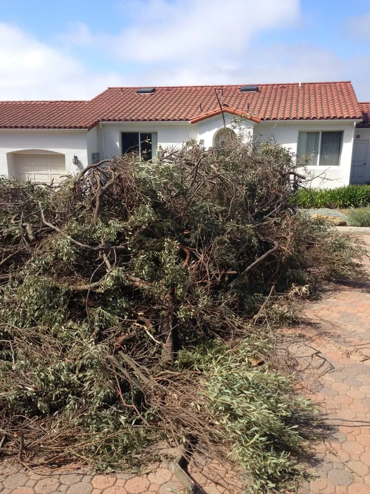 Trusted yard maintenance in Santa Barbara, CA - Medina Yard Care & Hauling