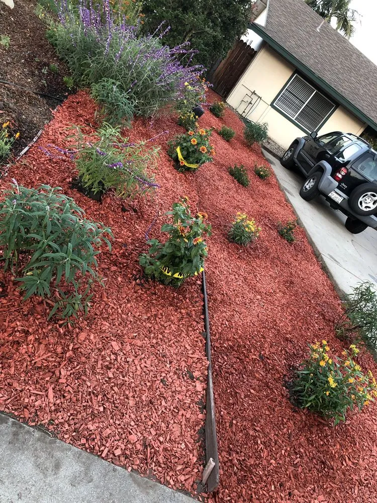 Professional lawn care service in Santa Barbara, CA - Medina Yard Care & Hauling