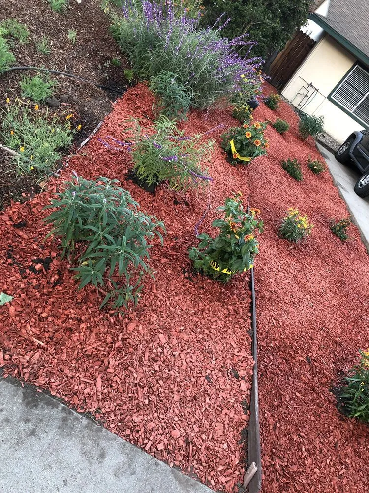 Top-rated lawn care service for beautiful yards in Santa Barbara, CA by Medina Yard Care & Hauling