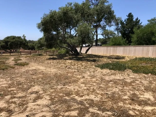 Affordable yard maintenance experts serving Santa Barbara, CA - Medina Yard Care & Hauling