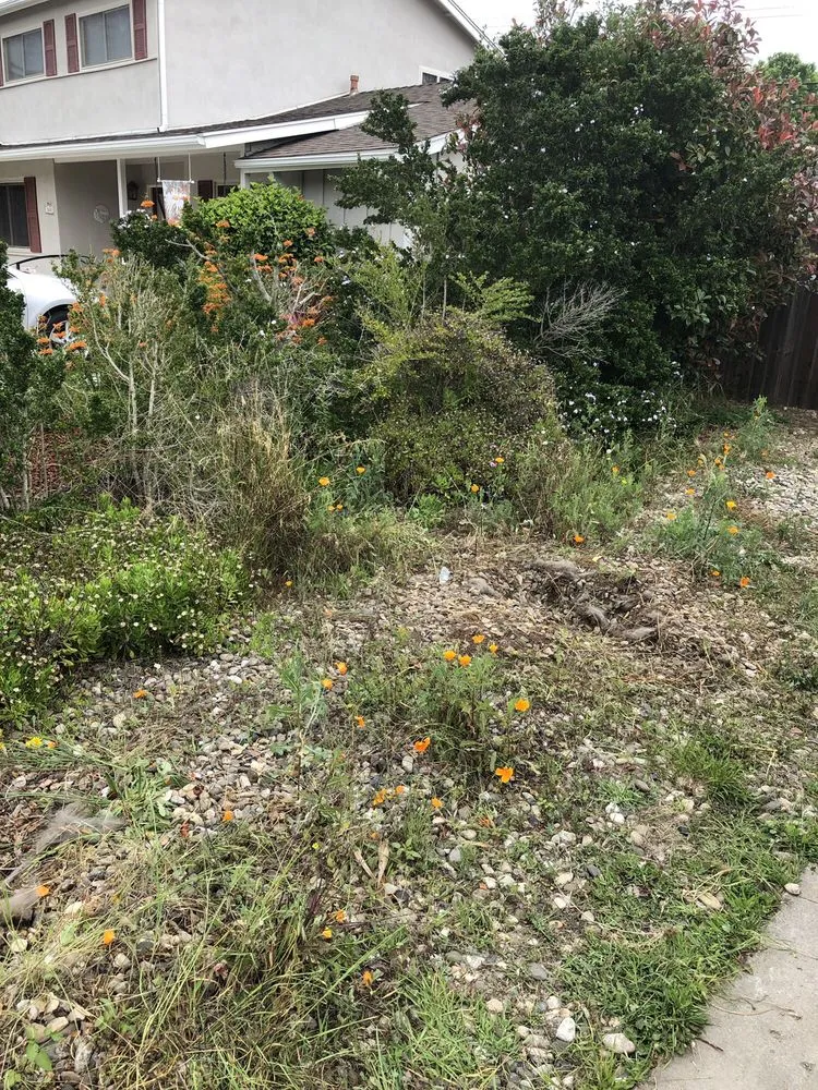 Custom landscape installation in Santa Barbara, CA by Medina Yard Care & Hauling