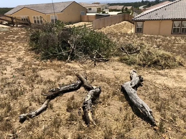 Trusted lawn mowing service for beautiful yards across Santa Barbara, CA - Medina Yard Care & Hauling