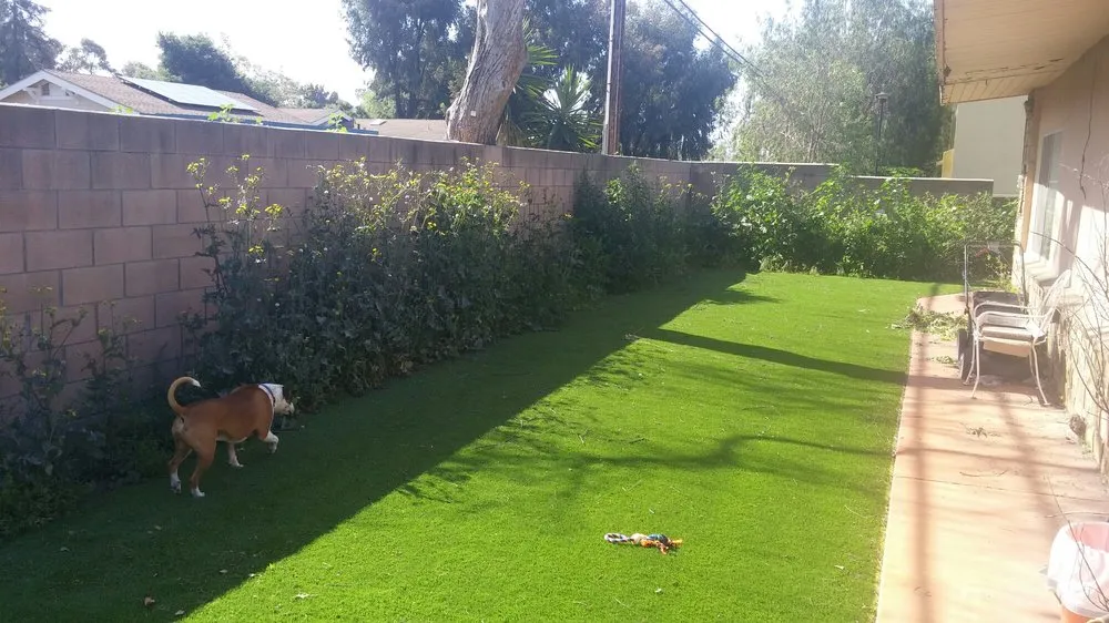 Trusted lawn mowing service experts serving Santa Barbara, CA - Medina Yard Care & Hauling