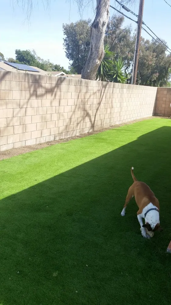 Reliable yard maintenance for residential properties across Santa Barbara, CA - Medina Yard Care & Hauling