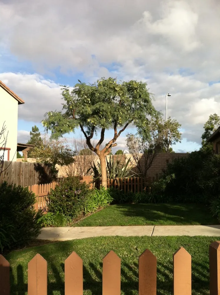 Trusted garden landscaping in Santa Barbara, CA by Medina Yard Care & Hauling