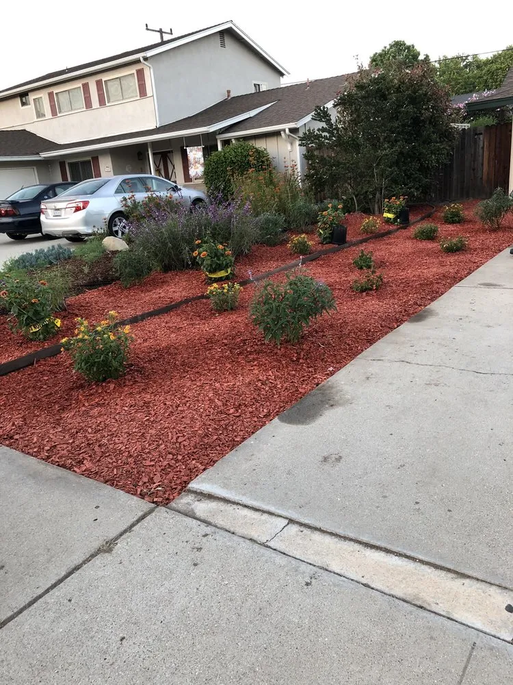 Custom outdoor landscaping in Santa Barbara, CA by Medina Yard Care & Hauling