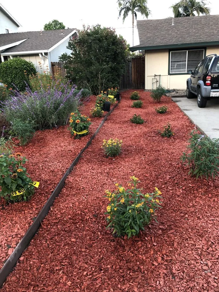 Professional yard maintenance for homes in Santa Barbara, CA by Medina Yard Care & Hauling