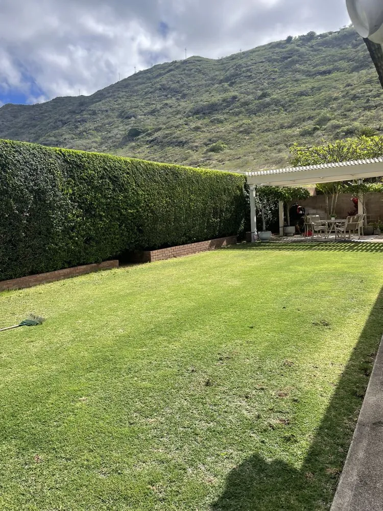 Top-rated yard cleanup service in Honolulu, HI - Medina Yard Service