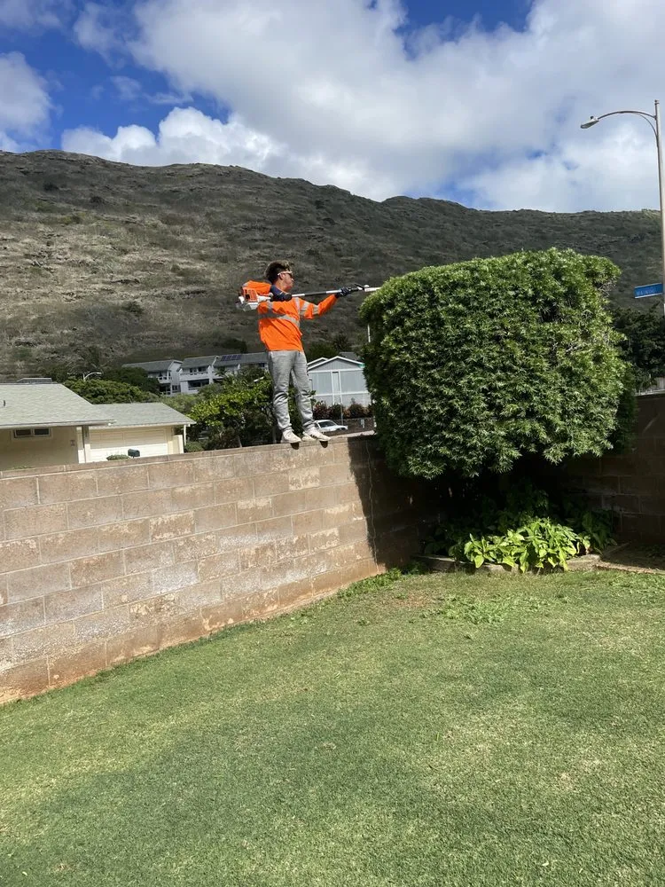 Top-rated outdoor landscaping for outdoor upgrades in Honolulu, HI by Medina Yard Service