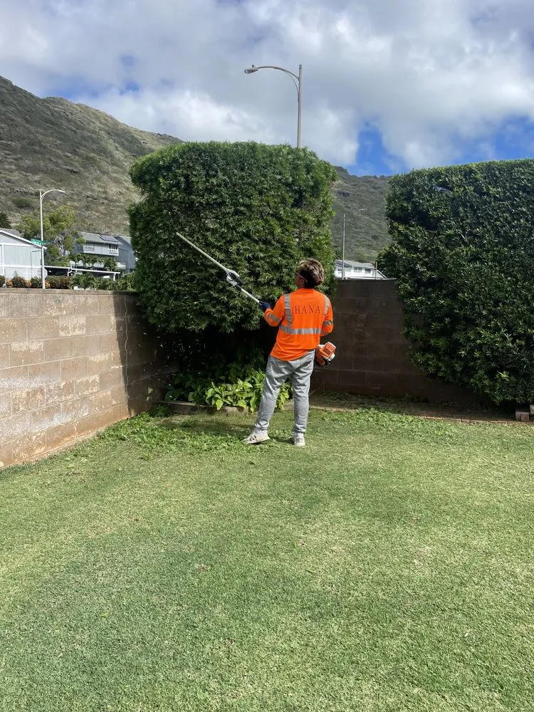 Reliable outdoor landscaping in Honolulu, HI by Medina Yard Service