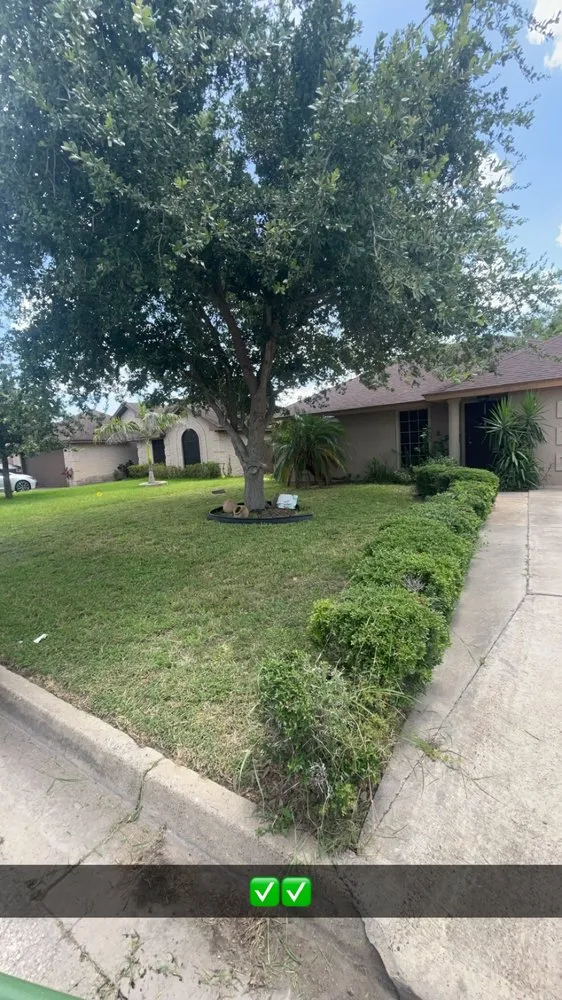 Local residential landscaping for homes in Los Fresnos, TX by Medina Yard Services